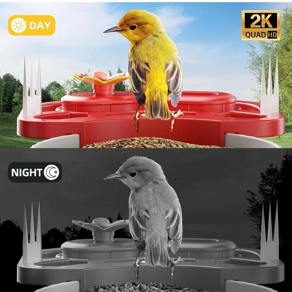 Smart Bird Feeder Camera FB-A08 2K WiFi Solar Powered AI Night Vision Red